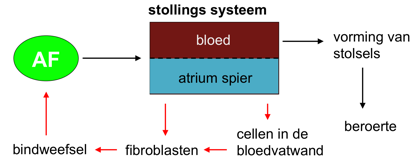 schema van stollingssysteem